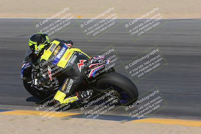 media/Nov-11-2023-SoCal Trackdays (Sat) [[efd63766ff]]/Turn 10 Inside (120pm)/